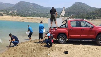 Kilgen Barajına 321 bin yavru sazan, baraja bırakıldı