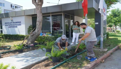 Konyaaltında muhtarlık binaları çiçeklendiriliyor