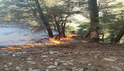 Kozanda ormanlık alanda yangın çıktı