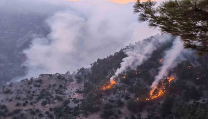 Kozandaki orman yangını kısmen kontrol altında