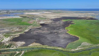 Kuş cenneti Göksu Deltası yangın sonrası havadan görüntülendi