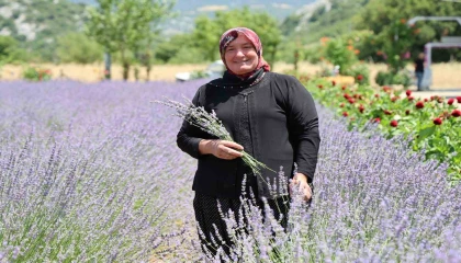 Lavanta Kokulu Hanımağalar