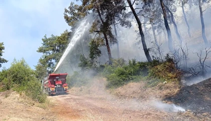 Manavgatta ormanlık alan yangınında 3 hektar alan zarar gördü