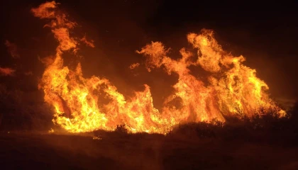 Manavgattaki yangında 8 dönümlük tarım arazisi zarar gördü