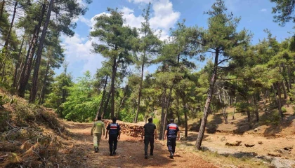 Mersin jandarmasından ormanlara sıkı koruma