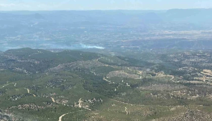 Mersinde 2 ilçede orman yangını
