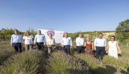 Mersinde 7. Lavanta Hasat Şenliği düzenlendi