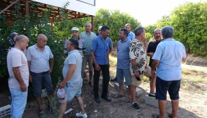 Mersinde arazi dolandırıcılığı iddiası: Köylüler organize çetenin hedefi oldu