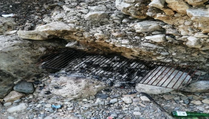 Mersinde ormanda piknik yapan 5 kişiye ceza