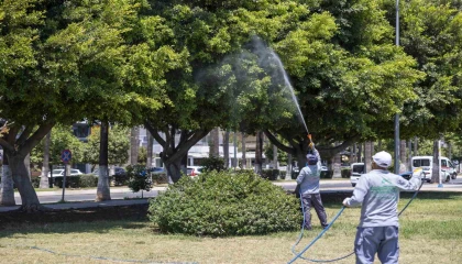 Mersinde yaz boyunca kesintisiz ilaçlama