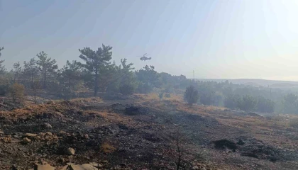 Mersindeki orman yangını: Havadan müdahale başladı