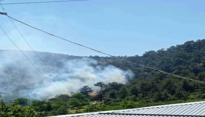 Mersindeki orman yangını kontrol altına alındı