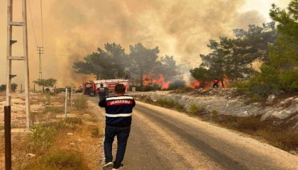 Mersindeki orman yangınında jandarma ekipleri aktif rol aldı