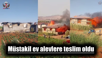 Müstakil ev alevlere teslim oldu