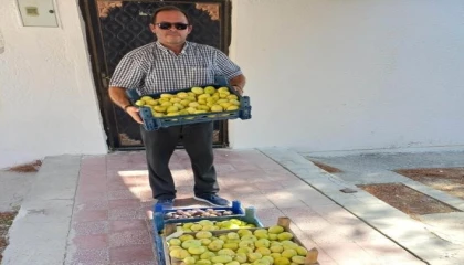 Mutta beyaz incir hasadı başladı