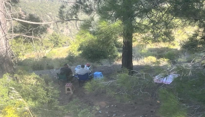 Ormanda piknik yapan 4 şahsa yasal işlem yapıldı