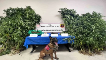 Osmaniyede 1 haftada 105 şüpheli yakalandı