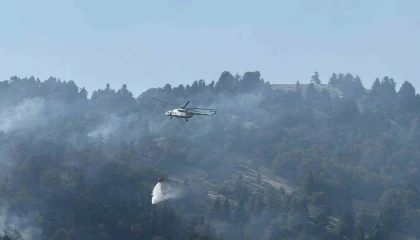 Osmaniyedeki orman yangını kontrol altına alındı