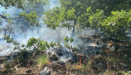 Osmaniyenin Düziçi ilçesinde orman yangını başladı