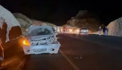 Otomobil domuza çarptı