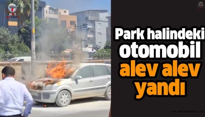 Park halindeki otomobil alev alev yandı