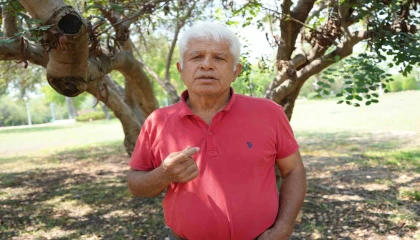 Profesörden denizlerin akciğerleri deniz çayırı uyarısı