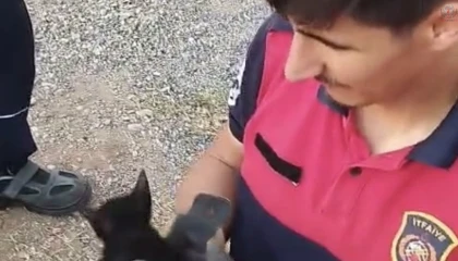 Rögara düşen yavru kediyi itfaiye ekipleri kurtardı