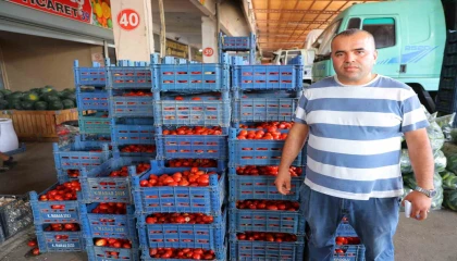 Salça dönemi başlamayınca domatesin fiyatı 3 TLye kadar düştü