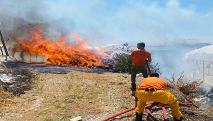 Serikte çalılıklarda başlayan yangın 2 seraya zarar verdi