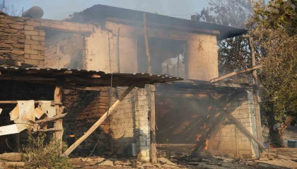 Serikteki orman yangınında evler ve ahırlar yandı