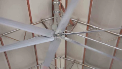 Sıcak havalarda havyanlar dev vantilatör ile serinliyor