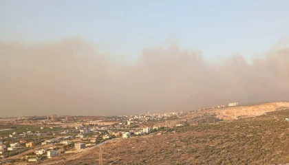 Silifkede orman yangını