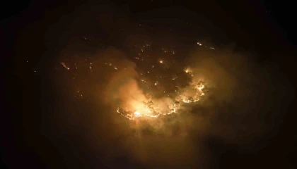 Silifkedeki orman yangını söndürüldü, hasar tespit çalışmaları başladı