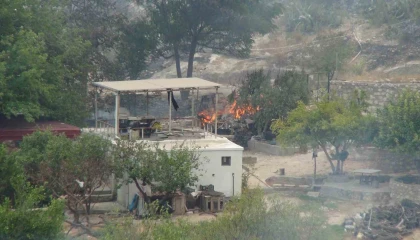 Silifkedeki orman yangınıyla mücadele devam ediyor: 526 personel sahada