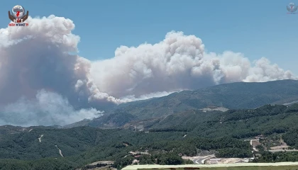 Suriye sınırında devam eden orman yangını için HBB ekipleri teyakkuza geçti