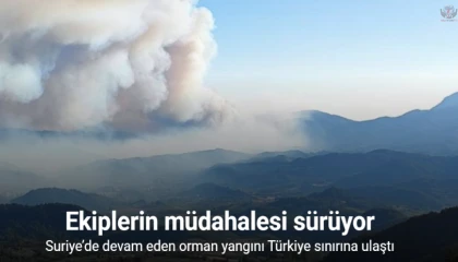 Suriyede devam eden orman yangını Türkiye sınırına ulaştı