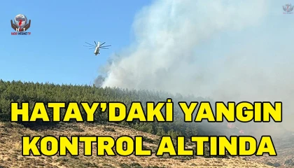 Suriyeden Yayladağına sıçrayan alevler kontrol altına alındı