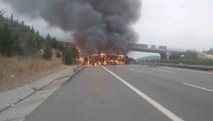 Tarsusta kaza yapan elyaf yüklü tır alev alev yandı