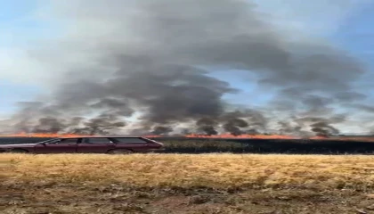 Traktörün kepçesinin elektrik tellerine temas etmesi ile çıkan yangında 50 dönüm arazi yandı