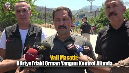 Vali Masatlı: Dörtyol'daki Orman Yangını Kontrol Altında