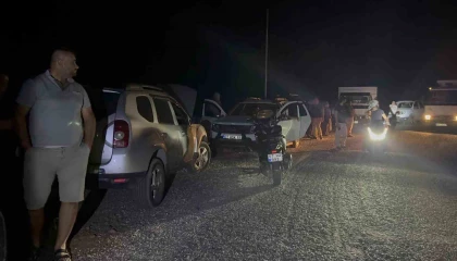 Yaban keçileri yangın sebebiyle doğal yaşam alanlarından kaçarken görüntülendi