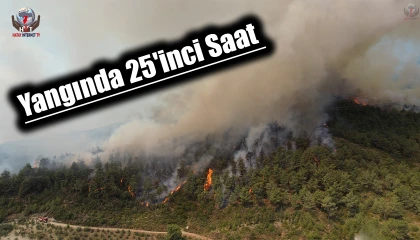 Yangında 25inci saat geride kalırken havadan ve karadan müdahale dronla görüntülendi