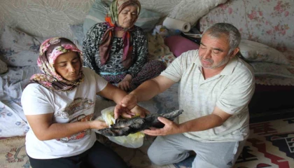 Yangında depoda sakladıkları 90 bin TL kül olan aile Merkez Bankasına başvurdu