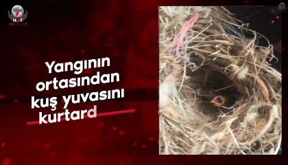 Yangının ortasından kuş yuvasını kurtardılar