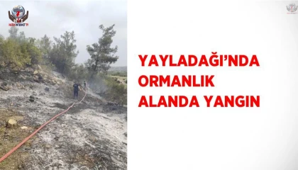 Yayladağında ormanlık alanda çıkan yangın kontrol altına alındı