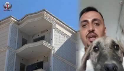 Yıkım öncesi yavru köpeği kurtardığı anlar kamerada