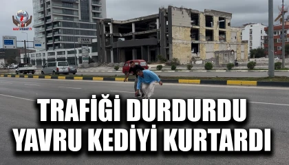 Yolcu dolu minibüsü durdurarak akan trafikte çaresizce bekleyen yavru kediyi kurtardı