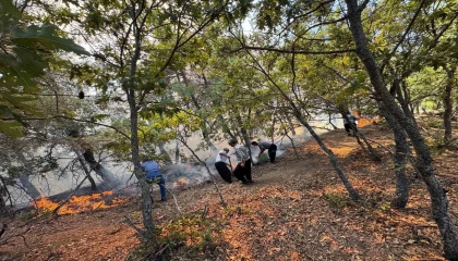 Adana Fekede orman yangını ekipler havadan ve karadan müdahale ediyor