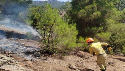 Adana Fekedeki orman yangını kontrol altına alındı