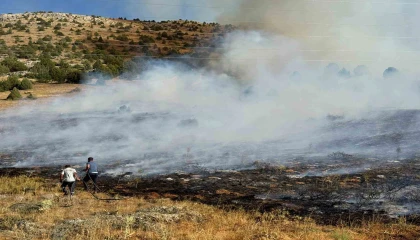Adana Tufanbeylide orman yangını